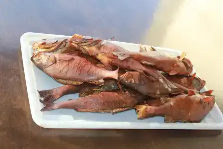 Tihiy Prichal Tourist base - 9