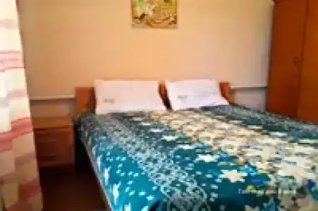 Guest house Elena - 2