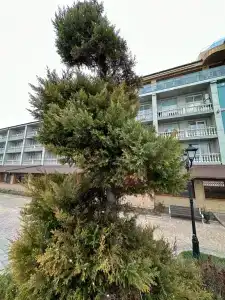 Ribera Resort&SPA - 40