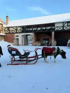 La Ferme de Reve - 27