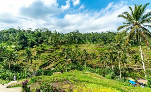 Ulun Ubud Resort - 5