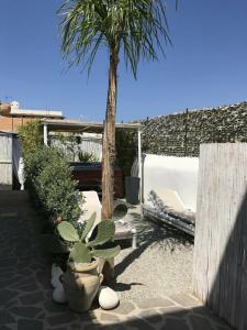 B&B Le Sette Vele Da Riccardo - 4