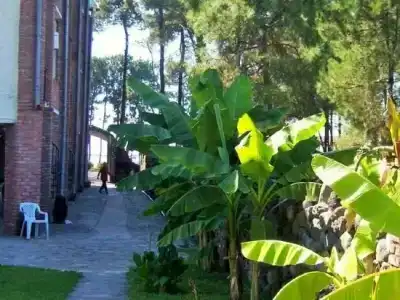Old House - 6