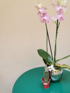 Margherita Boutique Rooms - 2