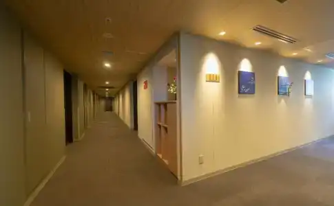 Natural hot spring Asagiri no Yu Dormy Inn PREMIUM Namba ANNEX - 15