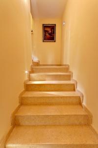 La Plumeria - 8