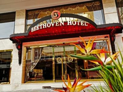 Beethoven Senfoni - 41