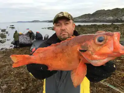 Rybolovnaya baza Nordseaman (Mys Vyevnavolok) Tourist base - 20