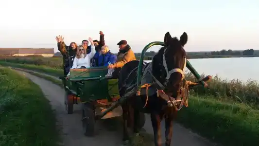 Agrousadba Lyavoniha - 35