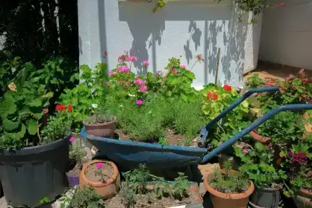 Kaya Apart Datca - 21