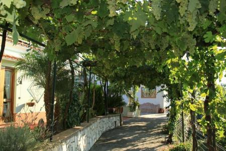 B&B Il Grappolo - 28