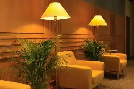 Pine Astoria - 19