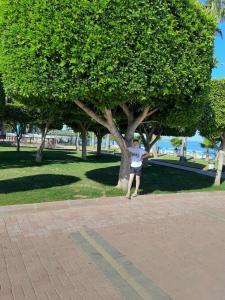 Lonicera World - Ultra All Inclusive - 25