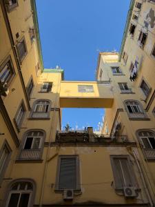 Ideal City Walk - 1