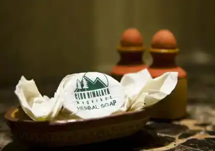 Club Himalaya, by Aces - 17