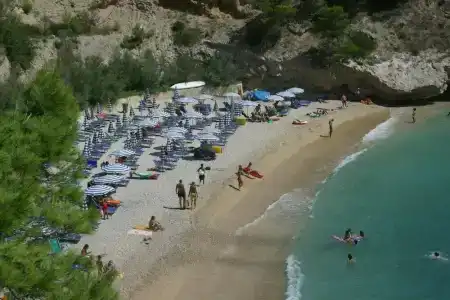 Pugnochiuso Resort - Degli Ulivi - 25