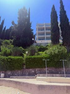 Iberostar - 33