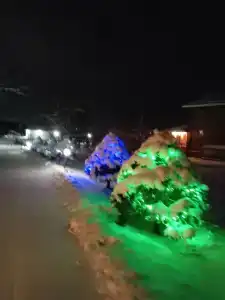 Staroladozhskaya Dacha - 44