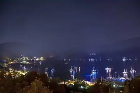 Swan Lake - Adult Only - 1