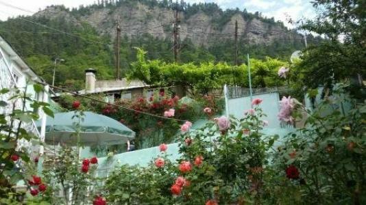 Guest House Green Rose - 9