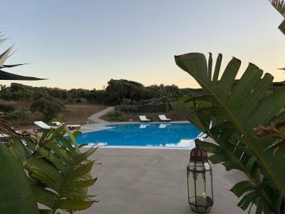 I Dammusini di Pantelleria - 8