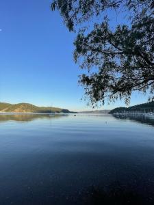 Marimare Beach & Bungalow Mini-hotel - 26