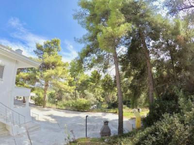Petra Maris B&B - 29
