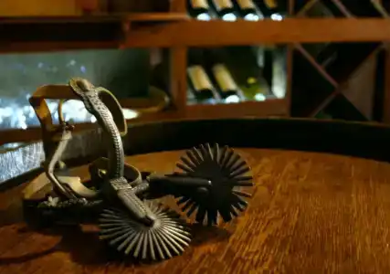 Carménère eco - 17