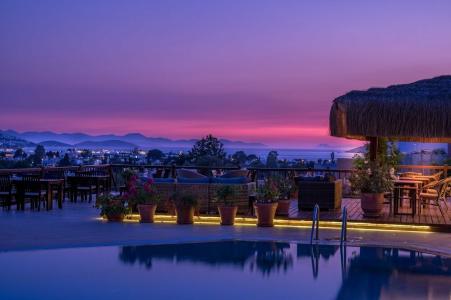 4Reasons + Bistro | 12+ - 38