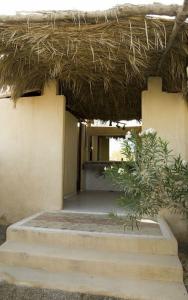 Umbi Sharks Bay Diving Village - 42