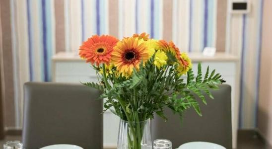 Strand Suites by Neu Collective - 13