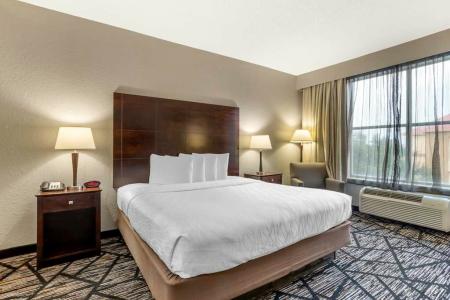 Best Western Plus Hobby Airport Inn Suites - 17