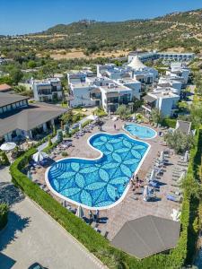 Assos Barbarossa - Special Class - 1