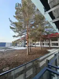 SPA-"Magic of Heat" - 19