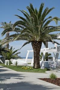 AH Premium Isola di Pazze - 4