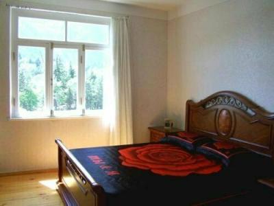 Guest House Green Rose - 42