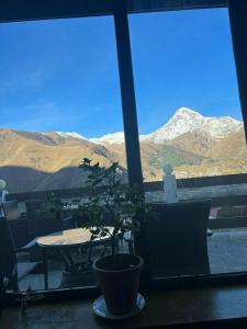 Alpine Lounge - 50