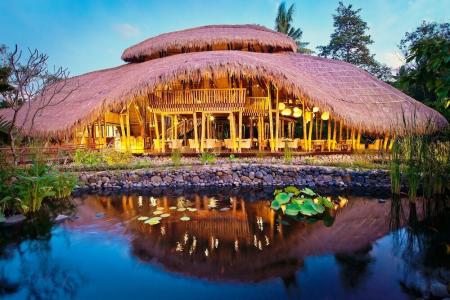 Fivelements Ubud - 35