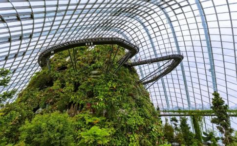 81 Orchid Singapore - 2