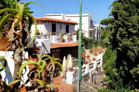Don Pedro - 15