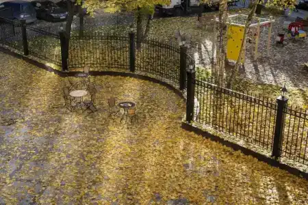 Аглая Кортъярд - 43