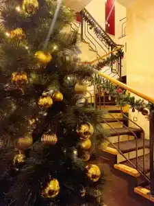 Marco Polo St Petersburg Бутик-Отель - 95