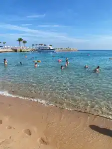 Pickalbatros Aqua Vista Resort - - 12