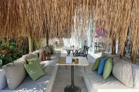 Contess By Faros - 17