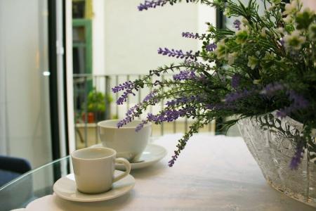 B&B Katerine - 7