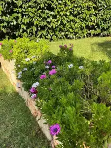 Carruba Boutique - 31