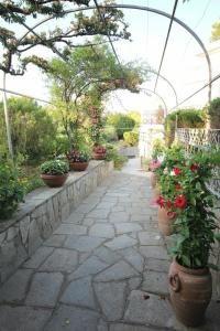 B&B Il Sogno - 31