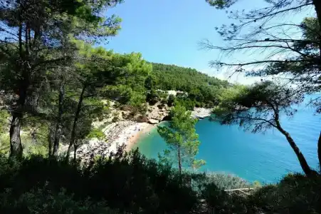 Pugnochiuso Resort - Degli Ulivi - 19