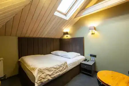 Wellion Baumansky - 8