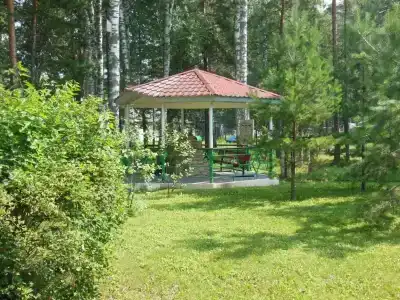 Berezovaya roshcha - 30